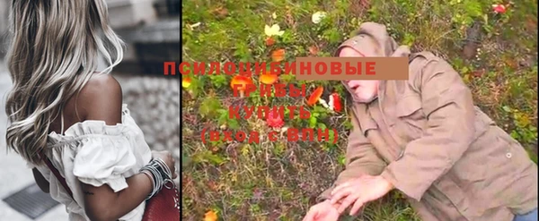 мет Арсеньев