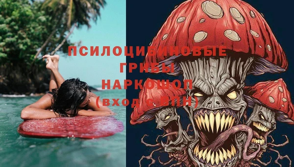 стафф Аркадак