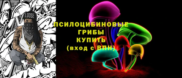 мет Арсеньев