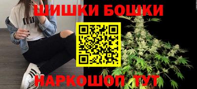 гидра Заводоуковск