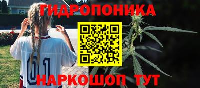 спиды Заволжье