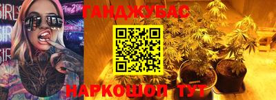 гидра Заводоуковск
