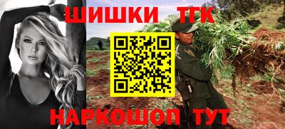 гидра Заводоуковск