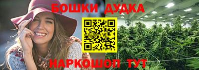 гидра Заводоуковск