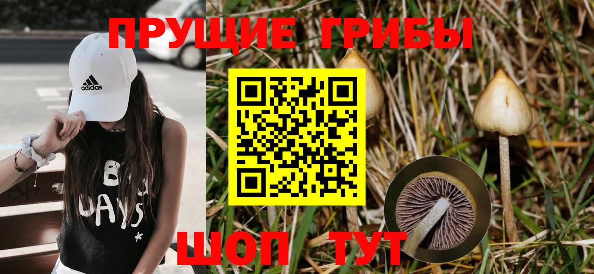 Псилоцибиновые грибы Psilocybine cubensis  продажа наркотиков  Междуреченск  Вход с VPN 